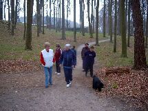 Waldspatziergang